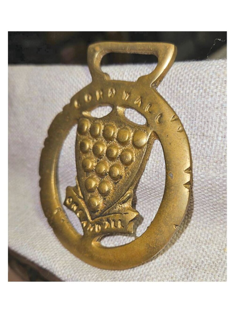 Cornwall County Insignia Antique Horse Brass Medallion Rare Equine Collectible - Picture 3 of 6